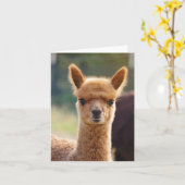 Alpaca Note Card Kaart (Gele Bloem)