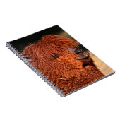 Alpaca Notitieboek (Rechterzijde)