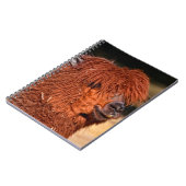 Alpaca Notitieboek (Linkerzijde)
