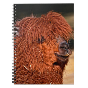 Alpaca Notitieboek