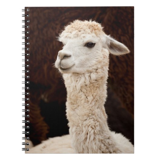 Alpaca Notitieboek (Voorkant)