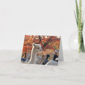 Alpaca Notitiekaarten Elisabetta (Voorkant)