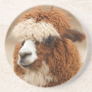 Alpaca onderzetter