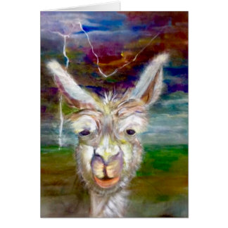 Alpaca - Oom Glen met verhaalkaart