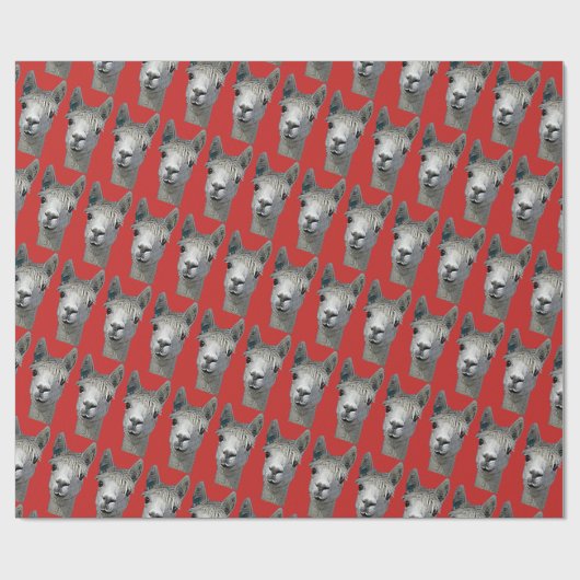 Alpaca op rood papier (Vlak)