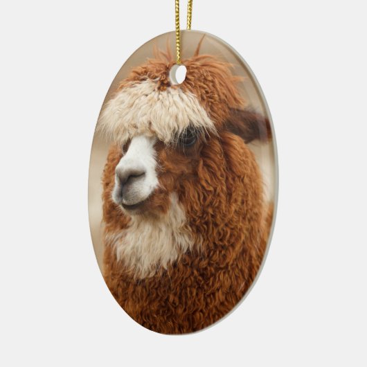 Alpaca-ornament Keramisch Ornament (Links)