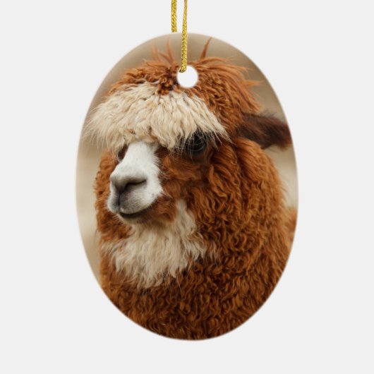 Alpaca-ornament Keramisch Ornament (Achterkant)