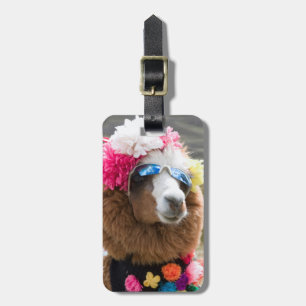 Alpaca, Pachacoto, Cordillera Blanca, Ancash Bagagelabel