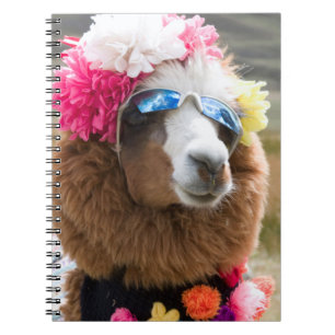 Alpaca, Pachacoto, Cordillera Blanca, Ancash Notitieboek