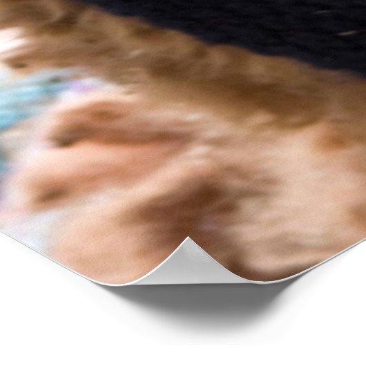 Alpaca, Pachacoto, Cordillera Blanca, Ancash Poster (Hoek)