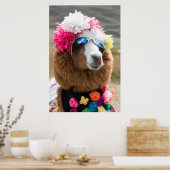 Alpaca, Pachacoto, Cordillera Blanca, Ancash Poster (Keuken)