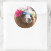 Alpaca, Pachacoto, Cordillera Blanca, Ancash Ronde Sticker (Tas)