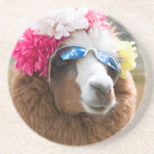 Alpaca, Pachacoto, Cordillera Blanca, Ancash Zandsteen Onderzetter