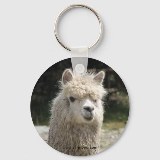 Alpaca, Parque Llaviucu, Ecuador Sleutelhanger (Voorkant)