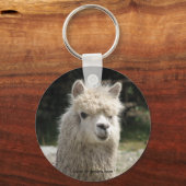 Alpaca, Parque Llaviucu, Ecuador Sleutelhanger (Voorkant)
