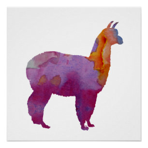 Alpaca Perfect Poster