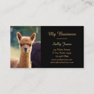 Alpaca Pet Care-Visitekaartjes met twee zijden Visitekaartje