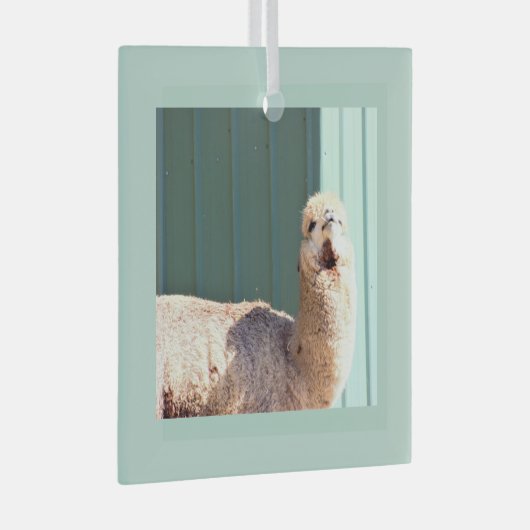 Alpaca Photo Ornament (Voorkant Rechts)