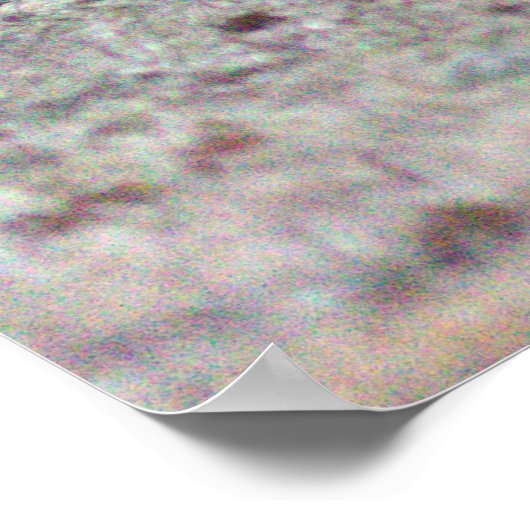 Alpaca Photo Poster (Hoek)