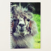 Alpaca Planner (Voorkant)