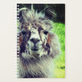 Alpaca Planner