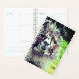 Alpaca Planner