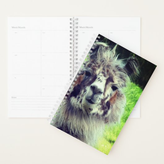 Alpaca Planner (Display)