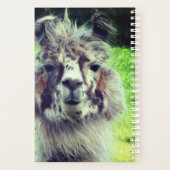 Alpaca Planner (Achterkant)