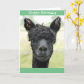 Alpaca Portrait Kaart (Gele Bloem)