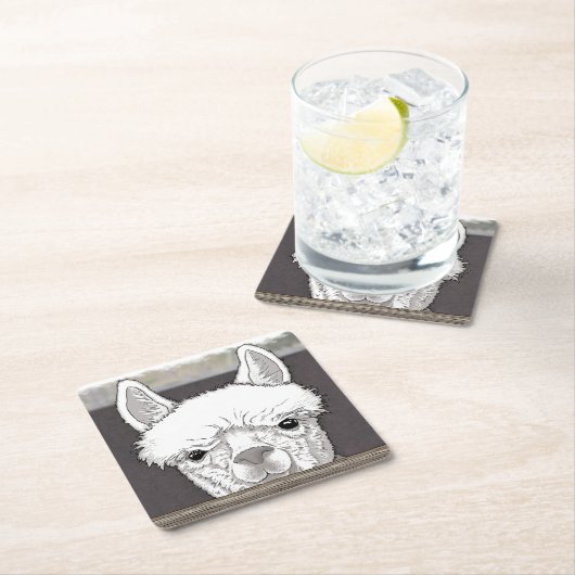 Alpaca Portrait Kartonnen Onderzetters (Insitu)