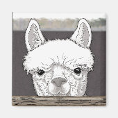 Alpaca Portrait Magneet (Voorkant)