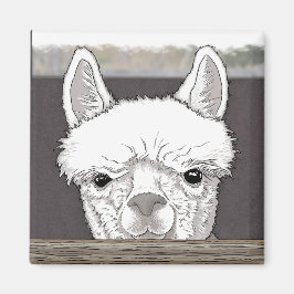 Alpaca Portrait Magneet