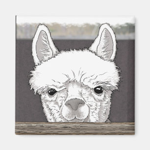 Alpaca Portrait Magneet