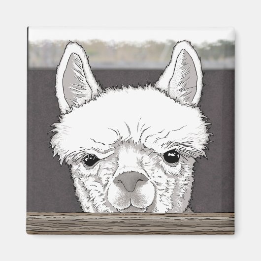 Alpaca Portrait Magneet (Voorkant)