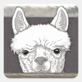 Alpaca Portrait Vierkante Sticker