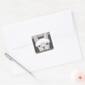 Alpaca Portrait Vierkante Sticker (Envelop)