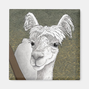 Alpaca Portret 2 Magneet