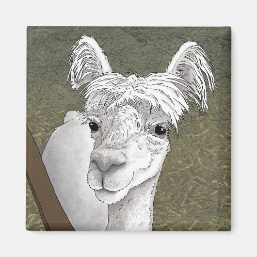 Alpaca Portret 2 Magneet (Voorkant)