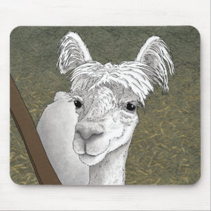 Alpaca Portret 2 Muismat