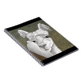 Alpaca Portret 2 Notitieboek (Rechterzijde)