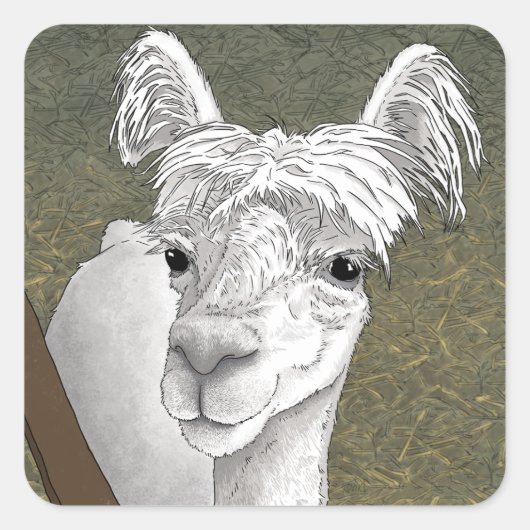 Alpaca Portret 2 Vierkante Sticker (Voorkant)