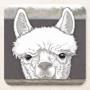 Alpaca Portret Kartonnen Onderzetters