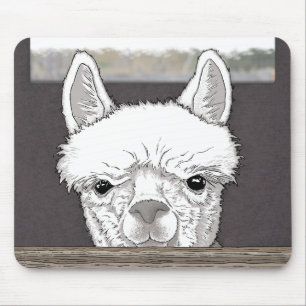 Alpaca Portret Muismat