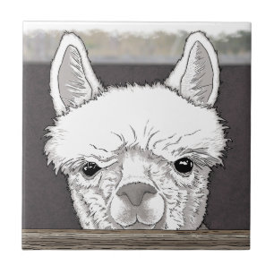Alpaca Portret Tegeltje