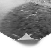 Alpaca portret zwart en wit poster (Hoek)