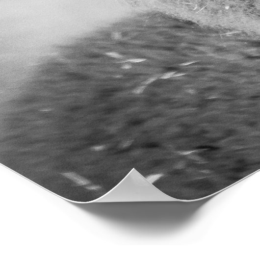 Alpaca portret zwart en wit poster (Hoek)