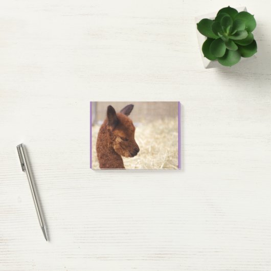 Alpaca Post-it® notes (Kantoor)