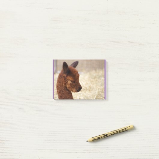 Alpaca Post-it® notes (Op bureau)