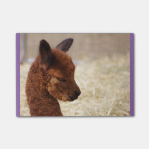 Alpaca Post-it® notes