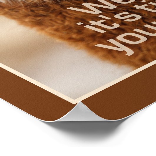 Alpaca poster (Hoek)